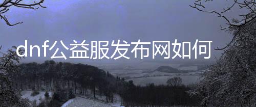 dnf公益服发布网如何运行,如安在虚拟机上运行dnf公益服发布网