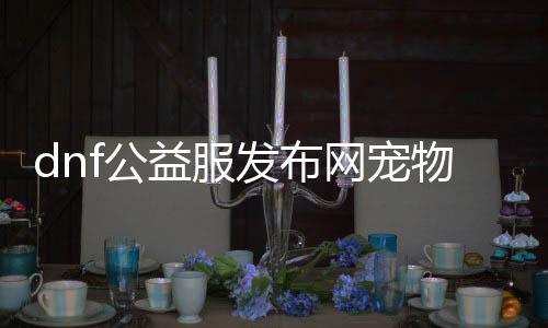 dnf公益服发布网宠物装备属性详解,公益服发布网宠物装备怎么得到