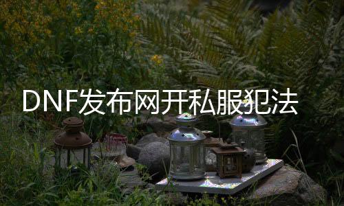DNF发布网开私服犯罪不