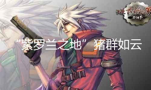 “紫罗兰之地”猪群如云，魔兽私服必玩！