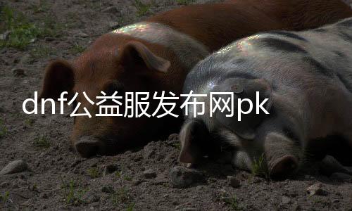 dnf公益服发布网pk服玩法先容,最新dnf公益服发布网pk服推荐