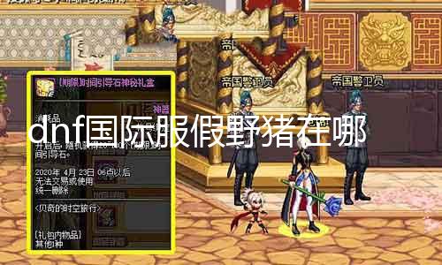 dnf国际服假野猪在那边 寻找dnf国际服假野猪的精确位置
