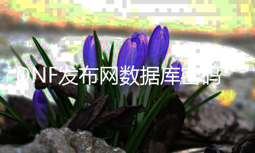 DNF发布网数据库暗码（dnf台服数据库暗码）