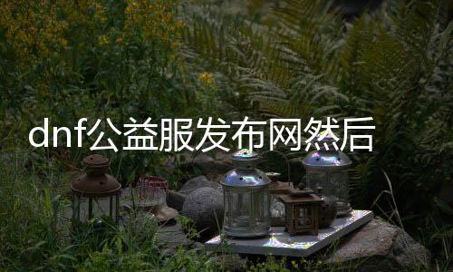 dnf公益服发布网然后运作（公益服发布网的运营模式和操纵步调）
