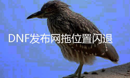 DNF发布网拖位置闪退（dnf总是掉线闪退）