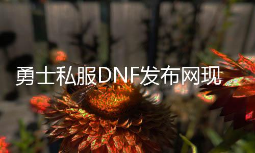 勇士私服DNF发布网近况