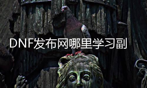 DNF发布网那边进修副职业（DNF发布网副职业找谁）
