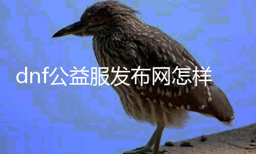 dnf公益服发布网奈何下载（dnf公益服发布网啥意思）