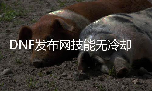DNF发布网技术无冷却（dnf技术冷却时间规复速度）